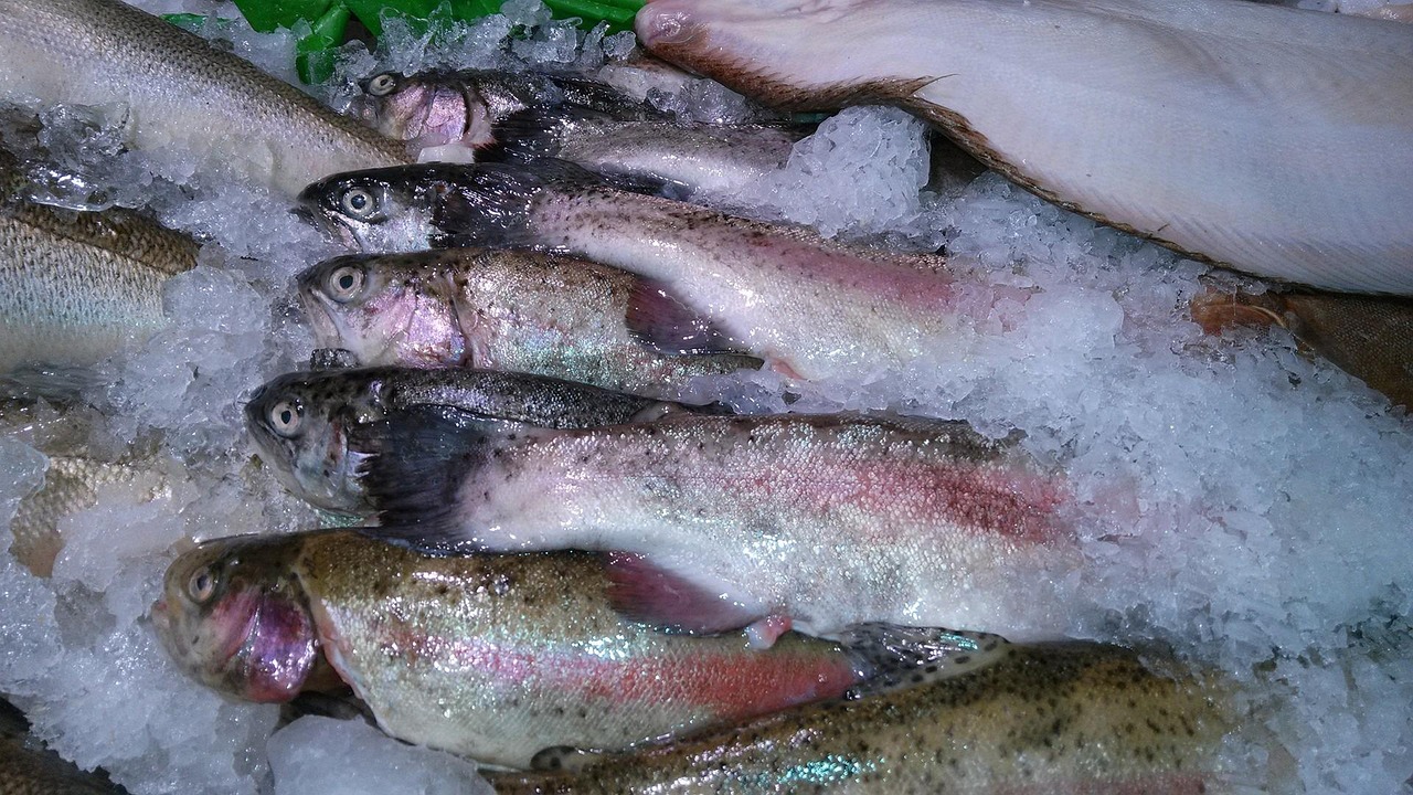 Menggigit Segar: Rahasia Seafood Frozen yang Bikin Cilacap Jadi Raja